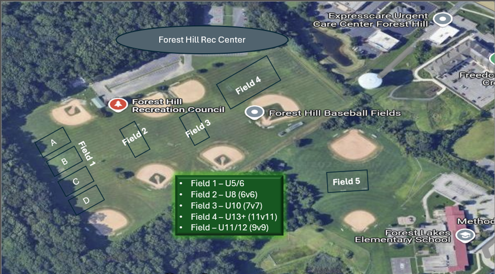 Field Layout